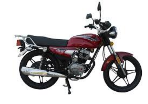 Lifan Lion 100